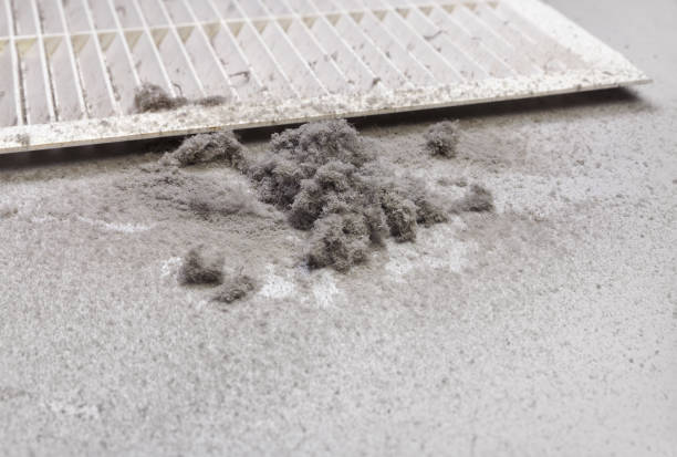 Best HVAC System Cleaning  in Cologne, NJ