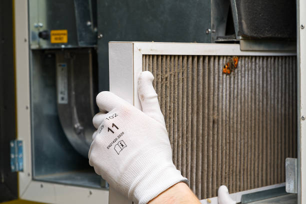 Best Air Duct Cleaning Near Me  in Cologne, NJ